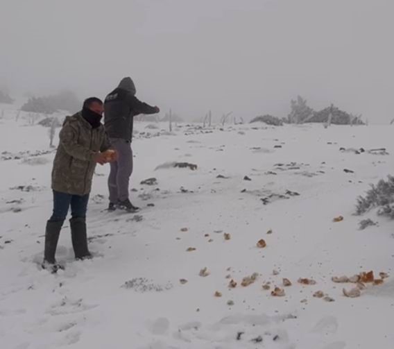 Halkapınar’da kar yağışı etkili oluyor