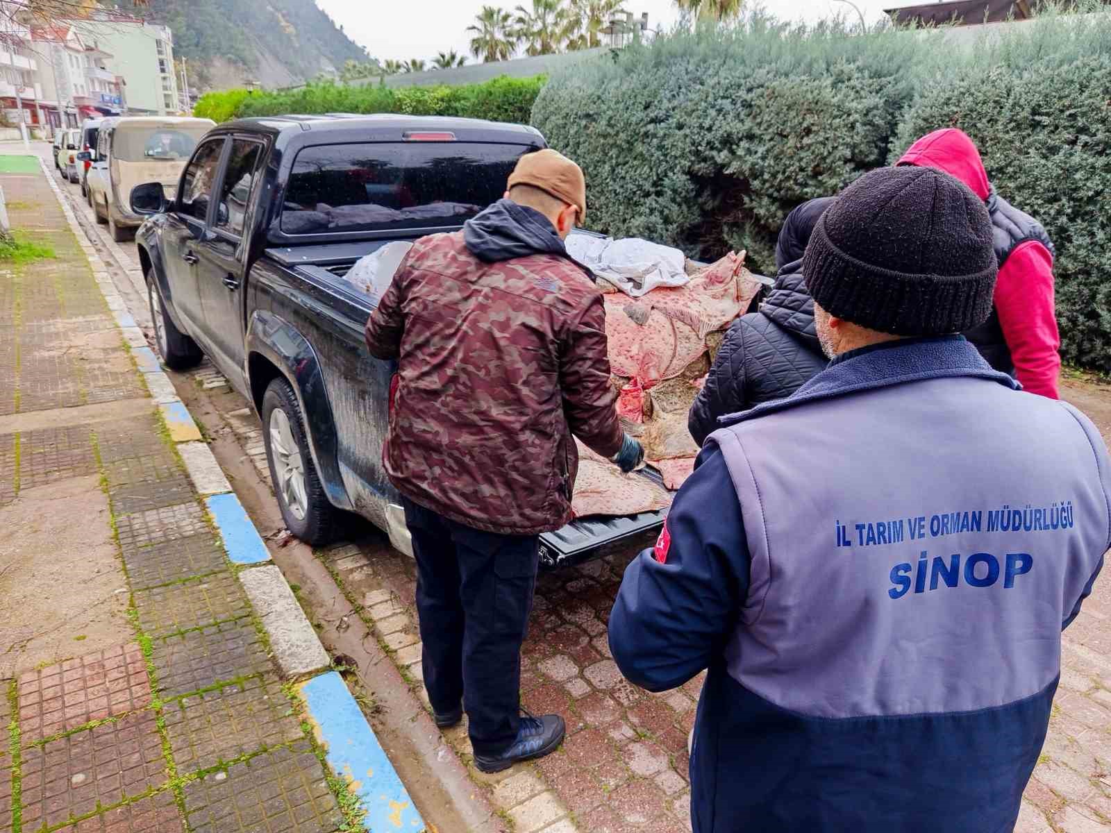 Yasa dışı avlanan kalkanlar, ihtiyaç sahiplerine ücretsiz dağıtıldı