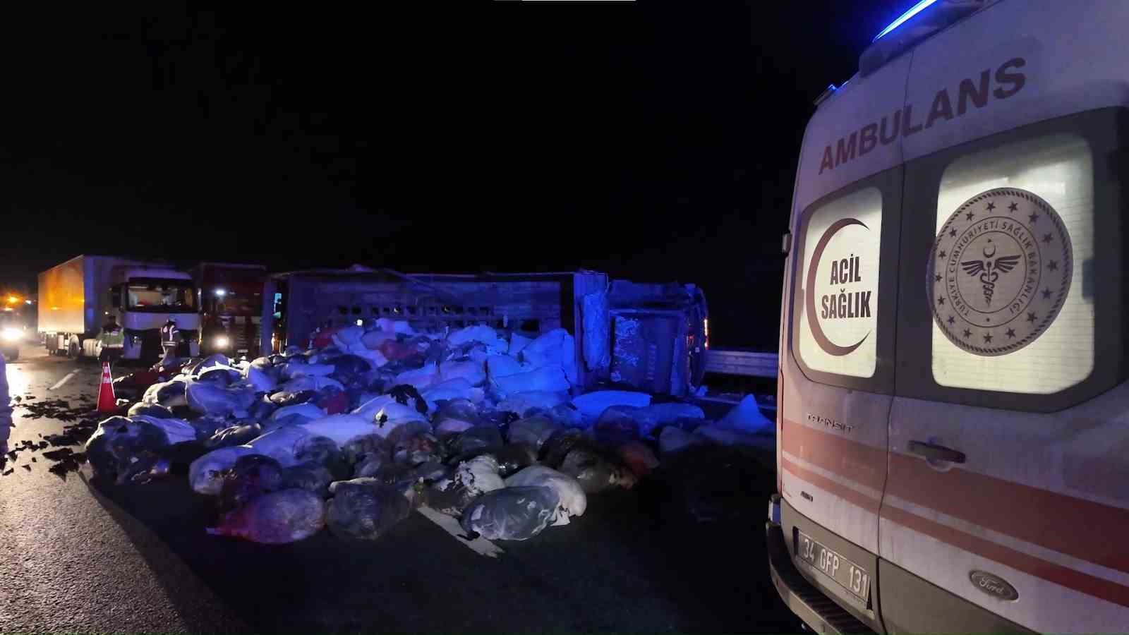 Kuzey Marmara Otoyolu’nda  kamyonet devrildi: 2 yaralı