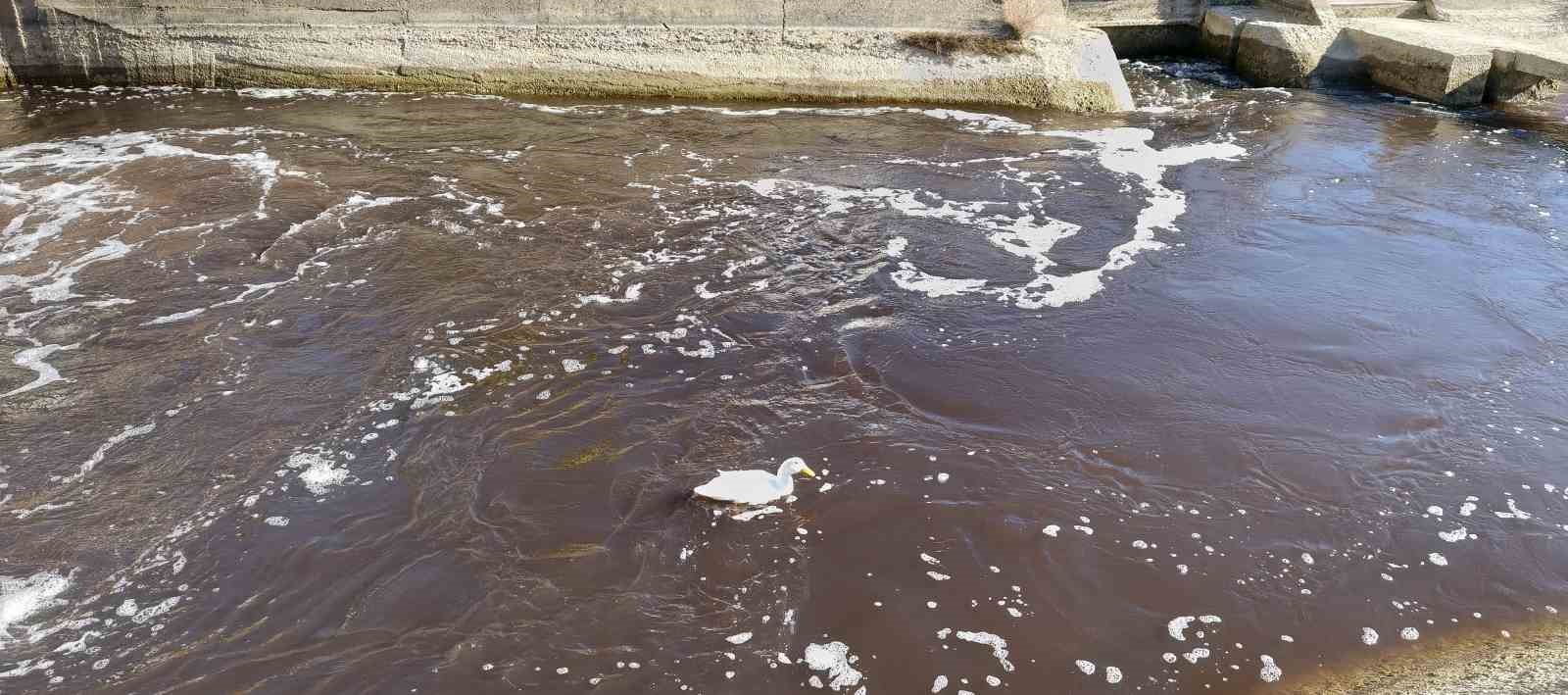 Göksu siyah akmaya başladı, akıllara 3 yıl önceki hadise geldi