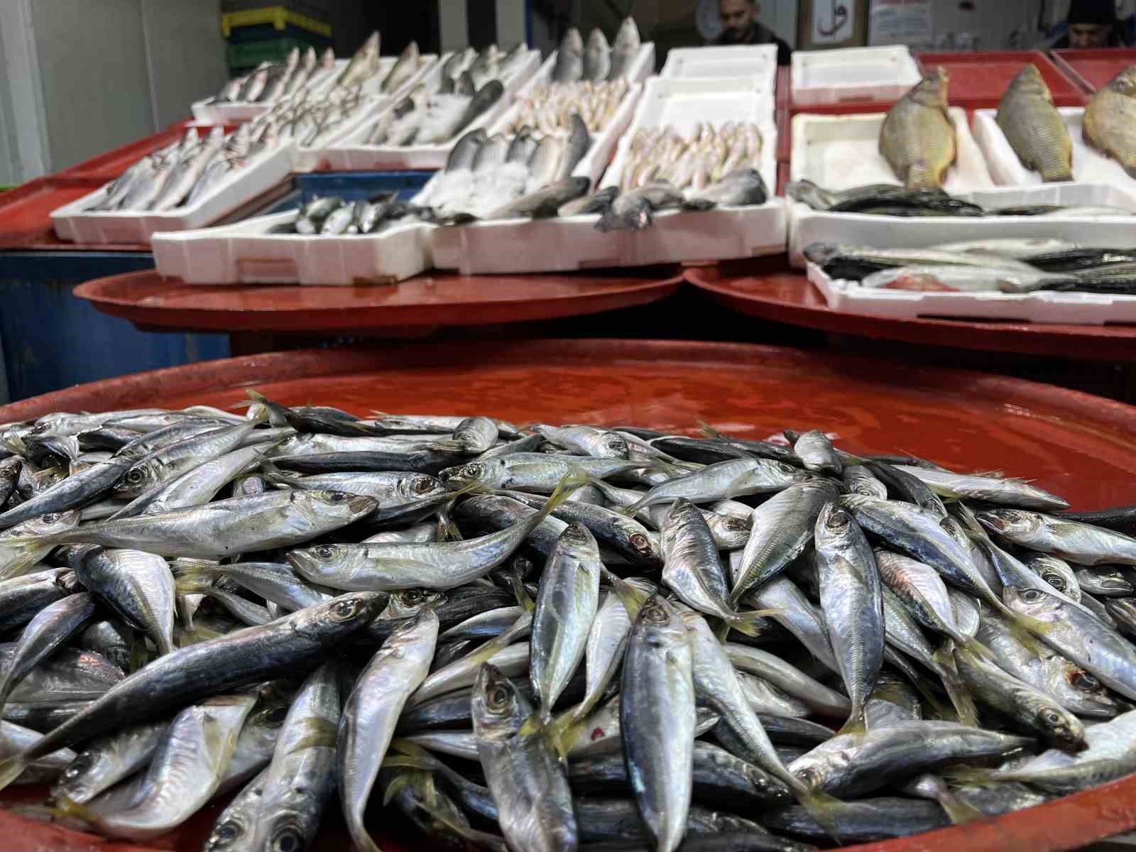 Geciken kış Konya’da balığı da vurdu