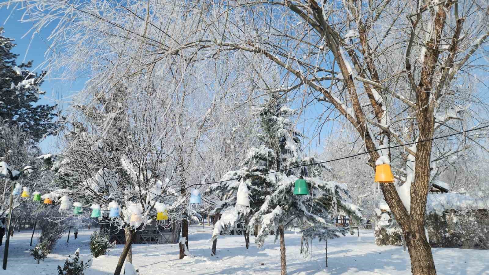 Elazığ’da dondurucu soğuklar: Karakoçan’da termometreler -22’yi gösterdi