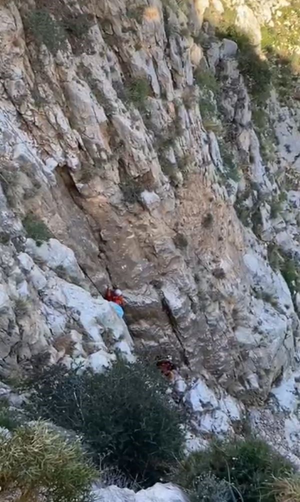 Fethiye’de kayalıklarda mahsur kalan keçi kurtarıldı