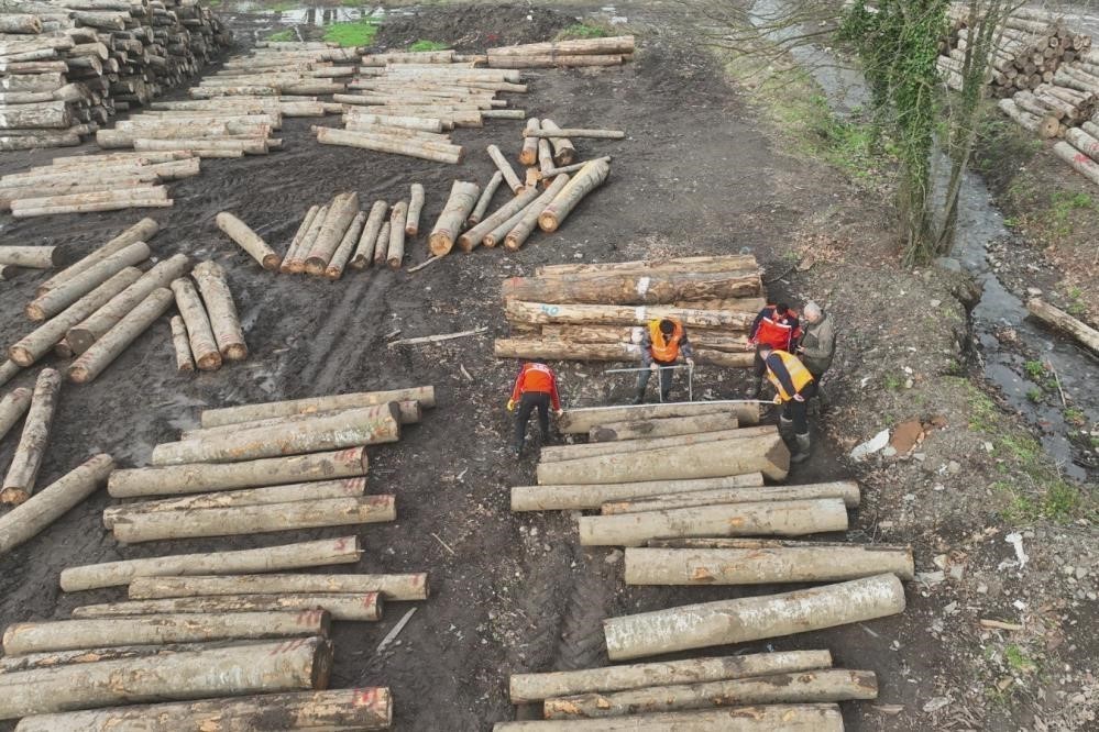 Düzce’den 23 bin 391,39 ton orman ürünü ihraç edildi