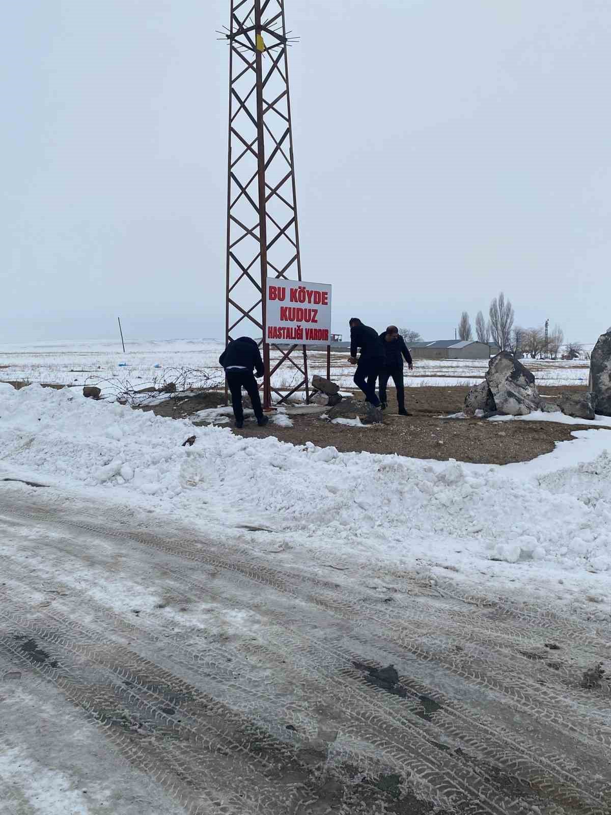 Adilcevaz’da kuduz alarmı: Bir köy karantinaya alındı