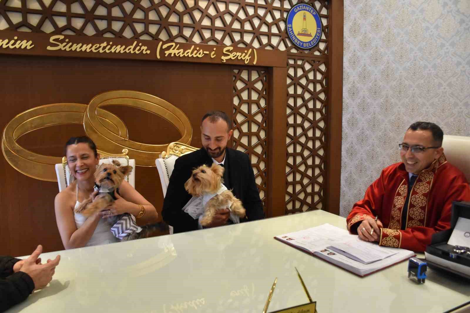 Köpekleriyle birlikte mutluluğa 