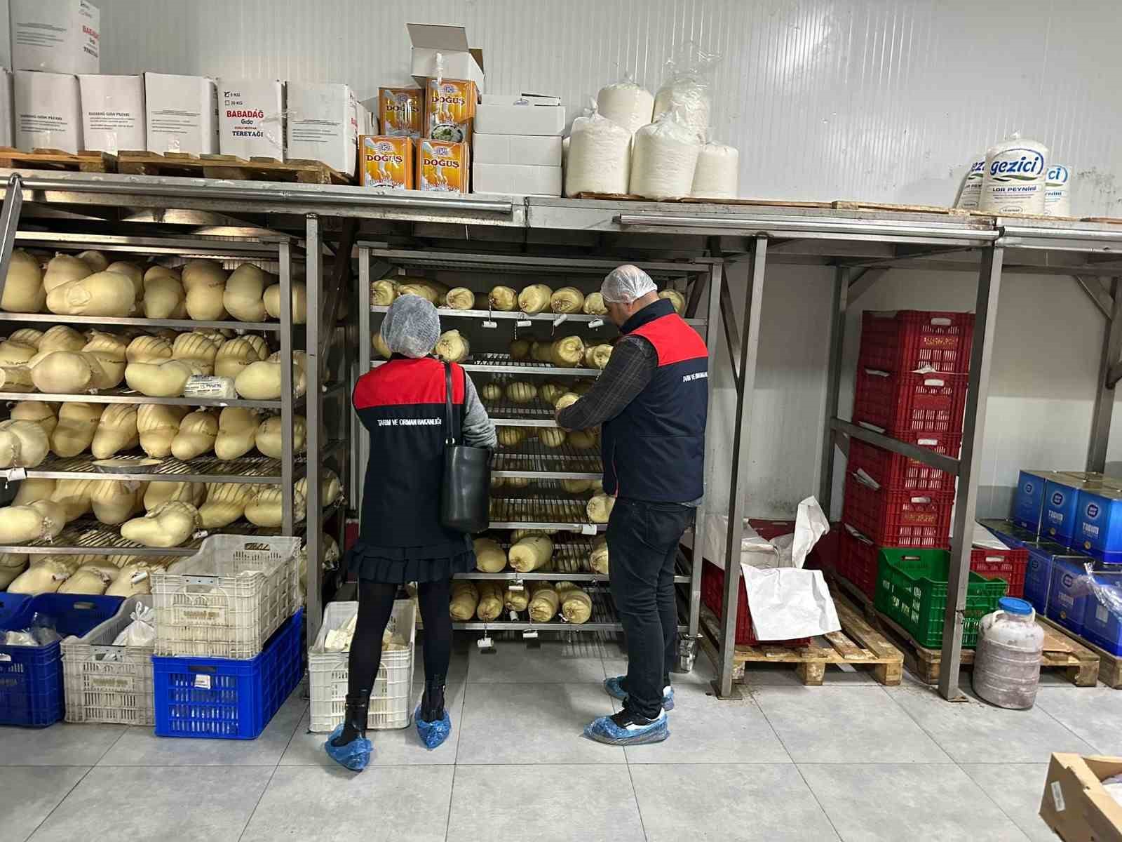 Gıda denetimlerinde 