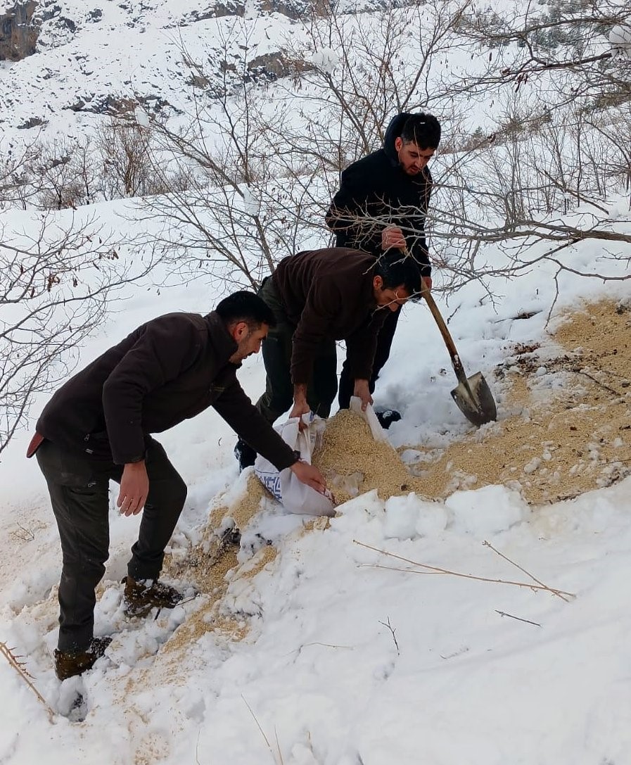 Kemah’ta yaban hayatı unutulmadı