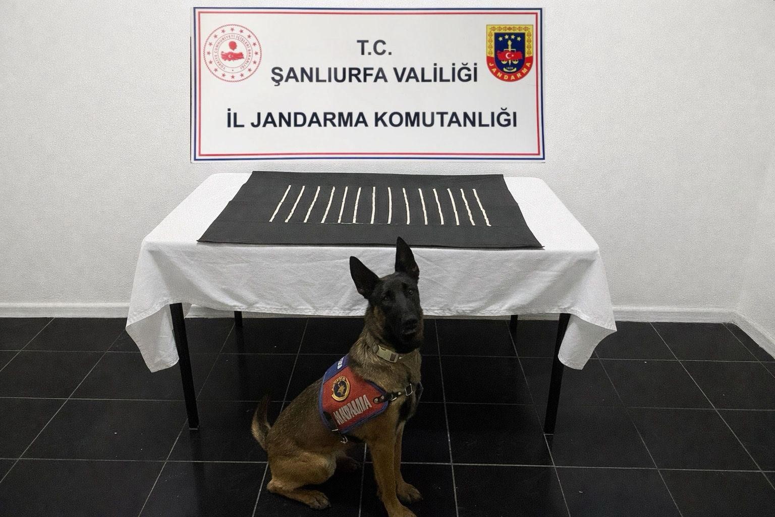 Harran’da uyuşturucu operasyonu: 2 gözaltı