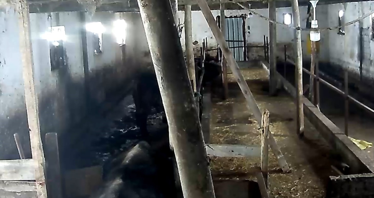 Tokat’ta ahırın çatısı çöktü