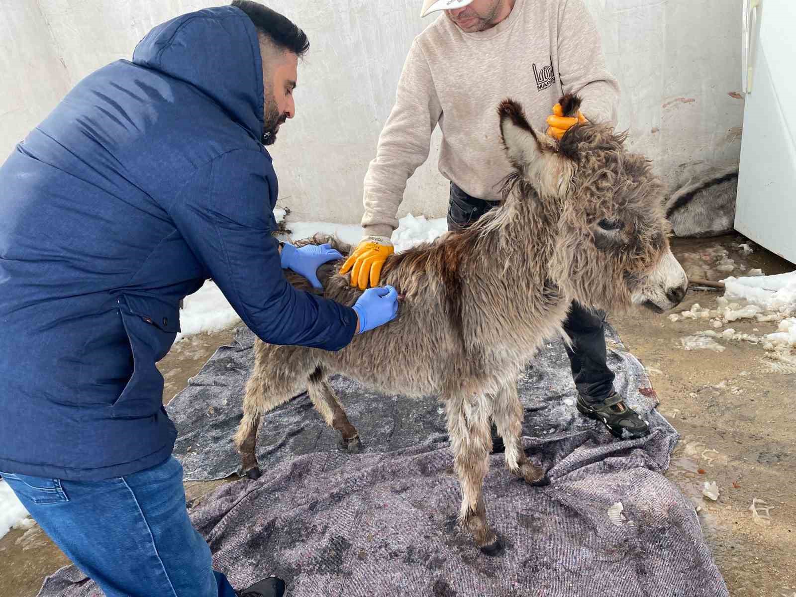 Mazıdağı Belediyesinin 