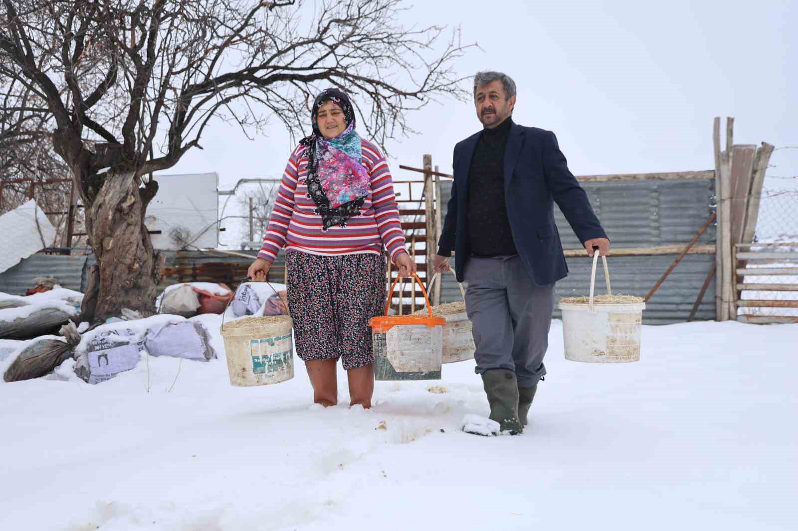 Elazığ’da besicilerin kış mesaisi
