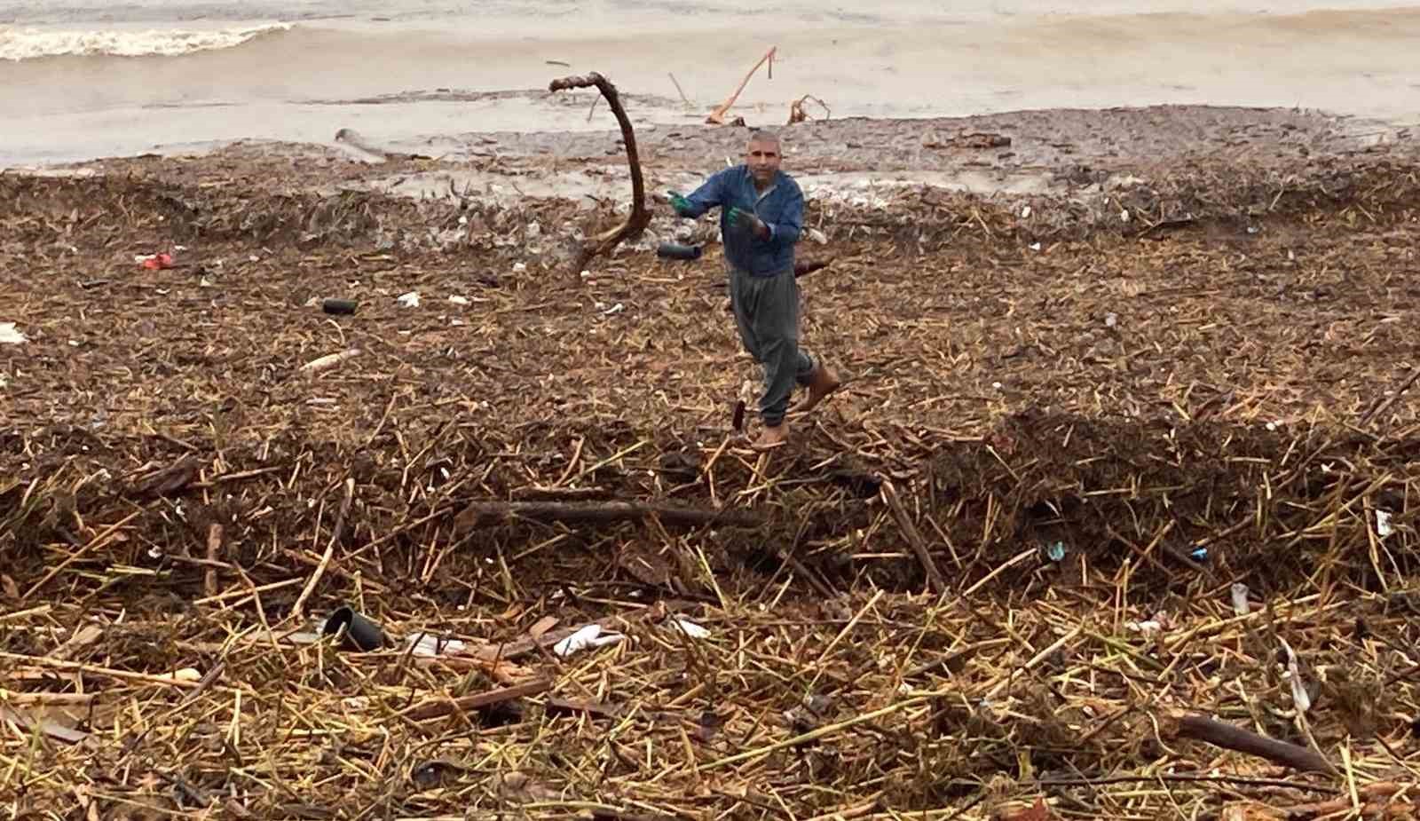 Sel sonrası deniz kahverengi oldu, sahiller odun doldu