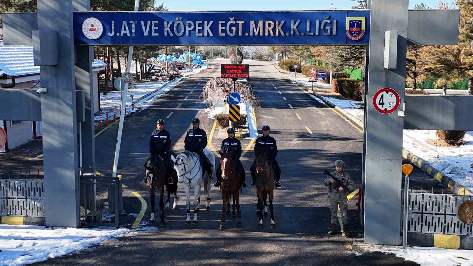 JAKEM’de atlar eğitimde