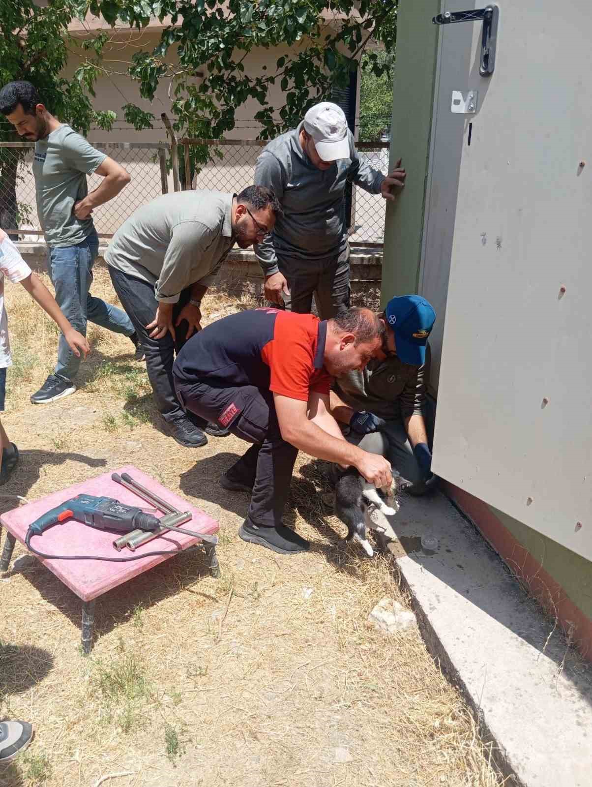 trafo-deligine-basi-sikisan-kedi-itfaiye-ekiplerince-kurtarildi