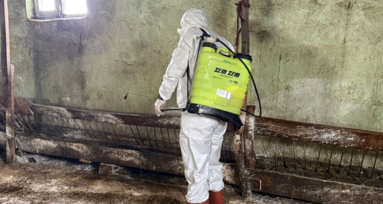 Yüksekova’da kuduz alarmı