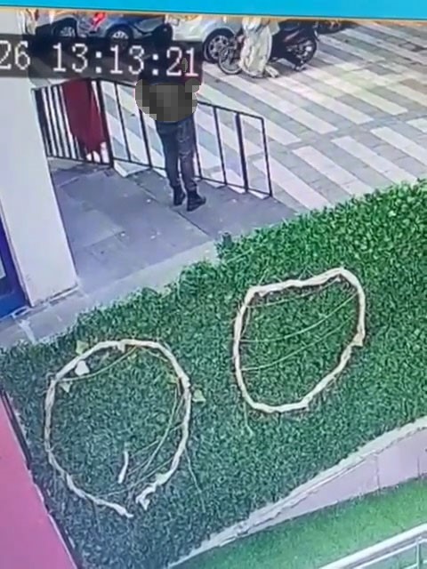 Kedinin çuvala konularak uzaklaştırıldığı görüntülere tepki