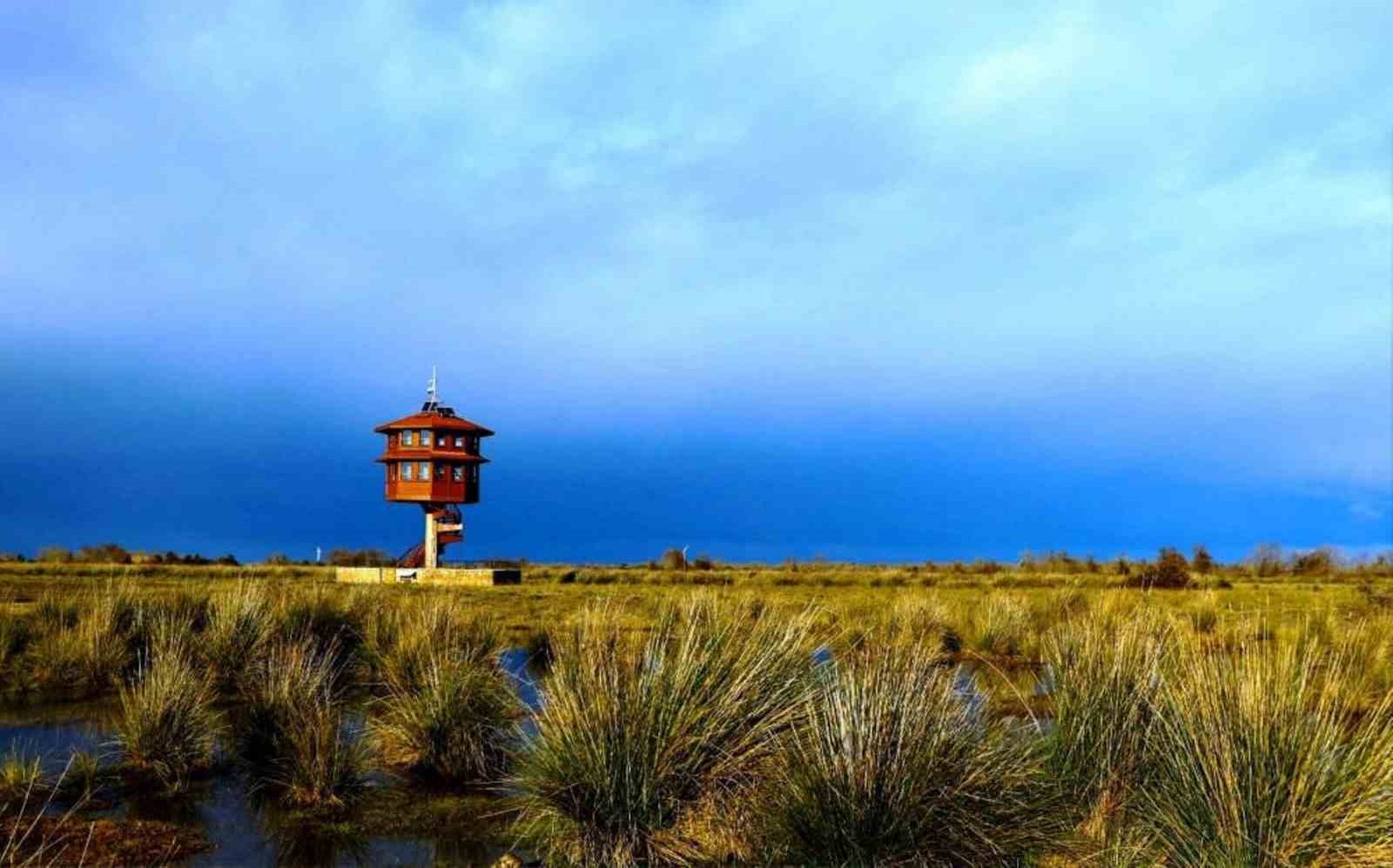 Samsun’da tabiat parklarını 186 bin 271 kişi gezdi