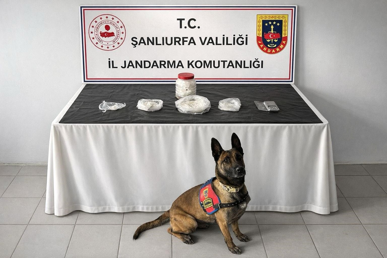 Şanlıurfa’da uyuşturucu operasyonu: 1 gözaltı