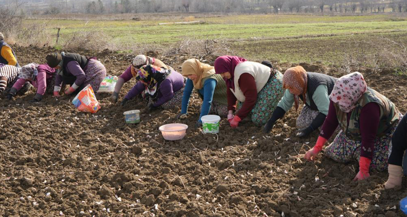 Annenin fedakarlık dolu yolculuğu: Çocukları için megakenti bırakıp toprağa sarıldı