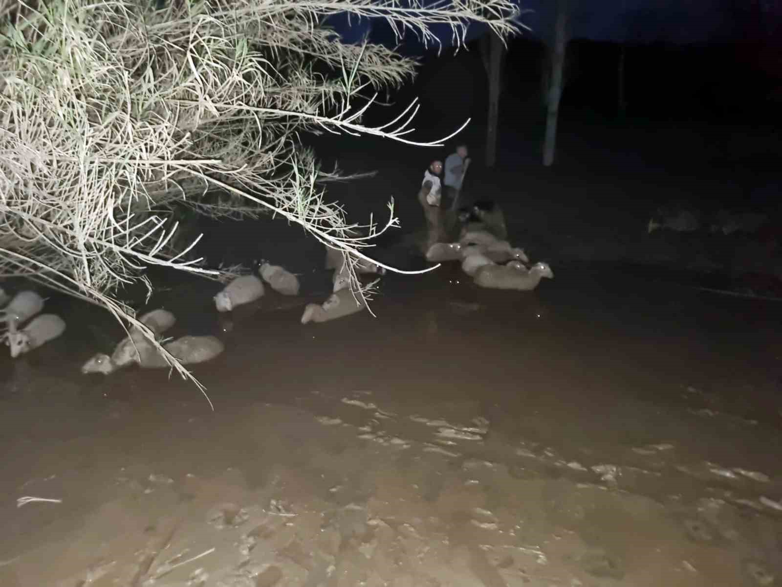 İtfaiyeden koyun kurtarma operasyonu