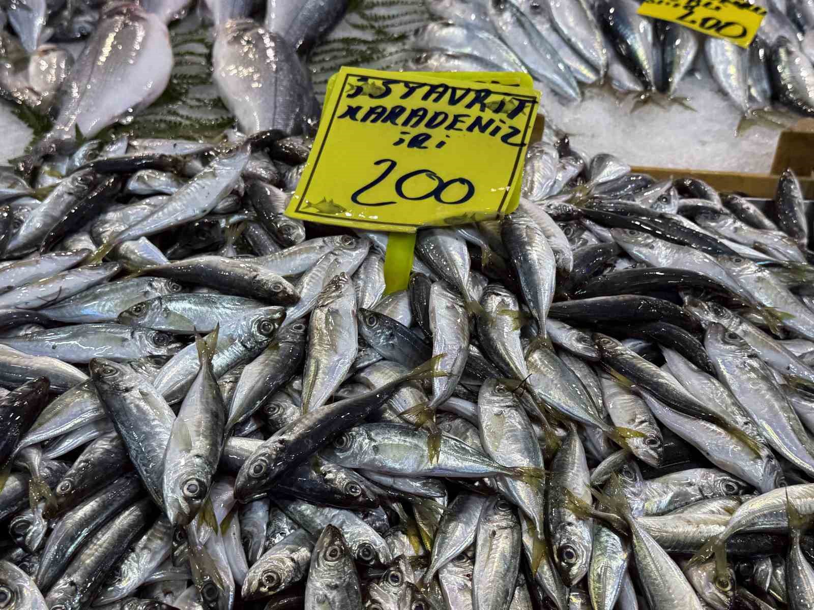 Kocaeli’de balık tezgahlarındaki son durum