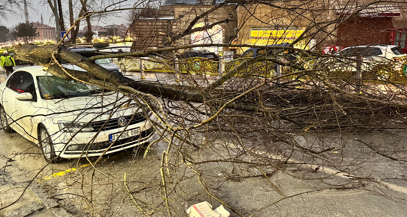 Edirne’de fırtına ağaçları devirdi