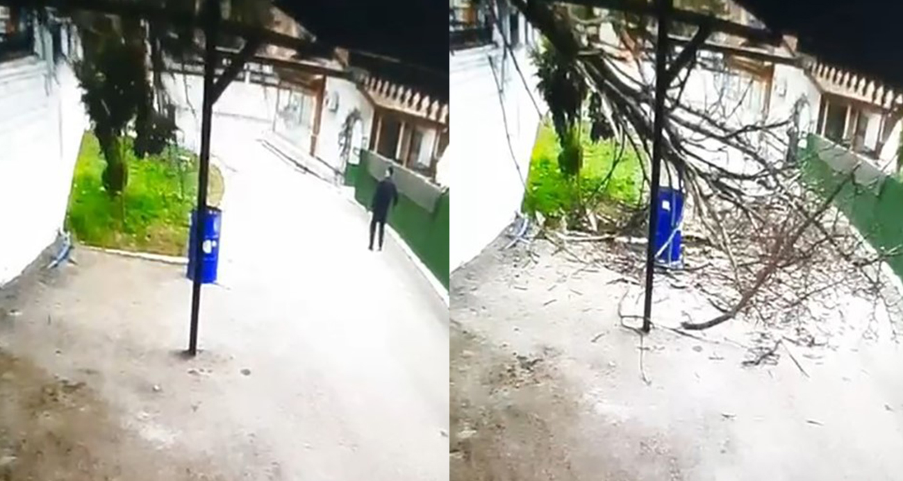 Tokat’ta fırtınanın devirdiği ağacın altında kalmaktan son anda kurtuldu