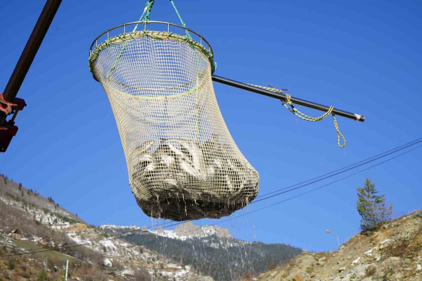 Denizi olmayan Gümüşhane’de alabalık üretimi 2 bin tona ulaştı