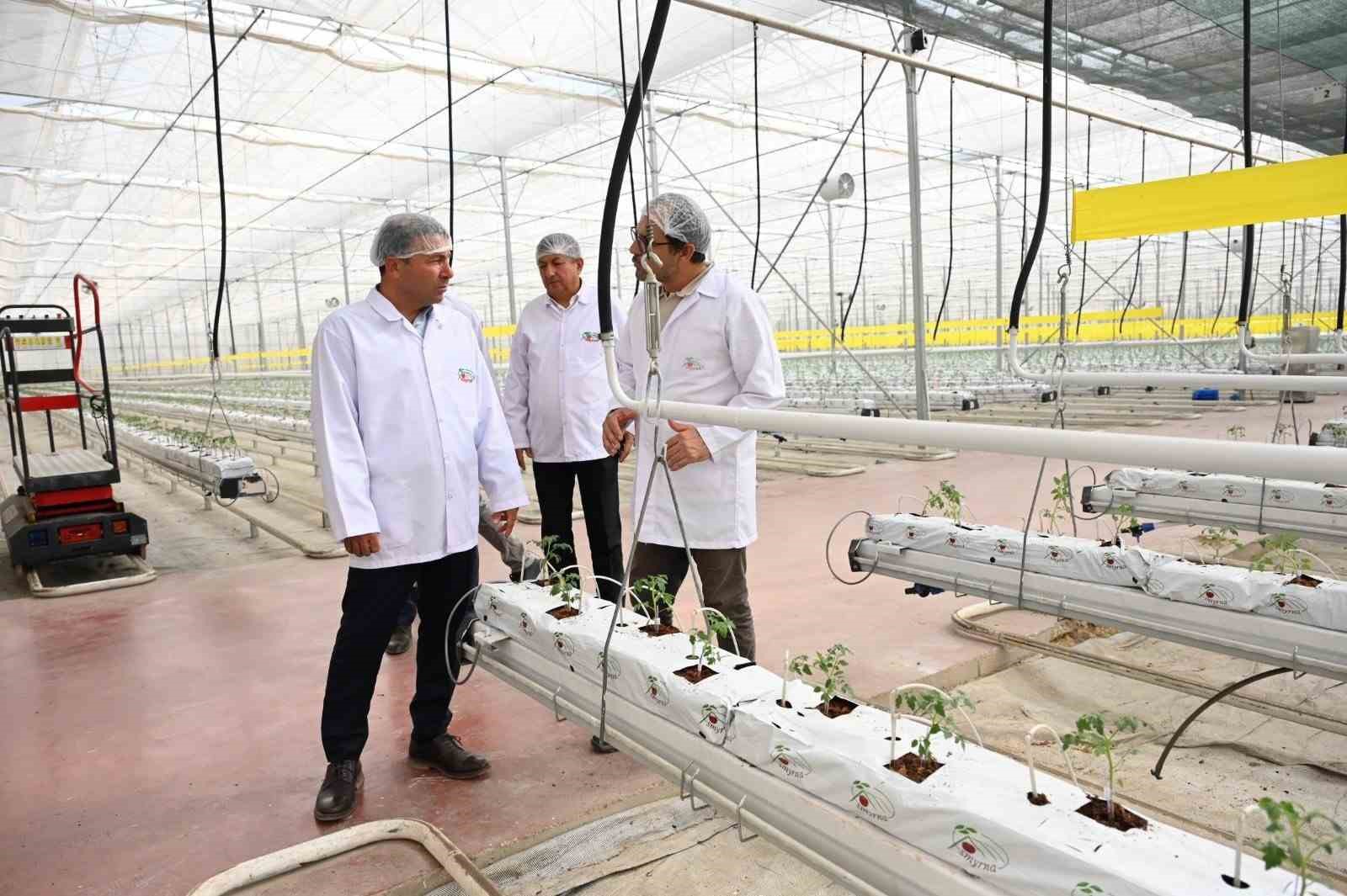 Denizli’nin 2025 bitkisel üretim tablosu yüz güldürdü