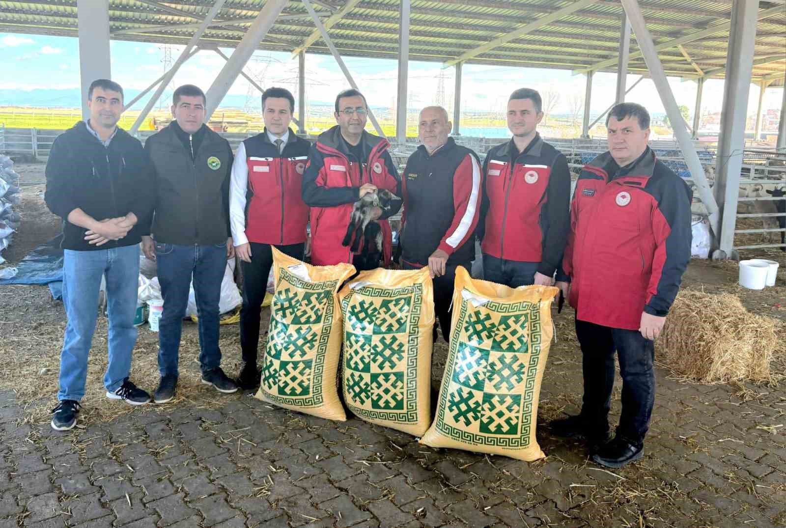 Ezine’de taşkından etkilenen yetiştiricilere yem desteği