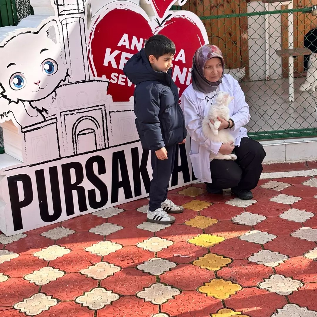 Pursaklar’da öğrencilerden kedi evine ziyaret