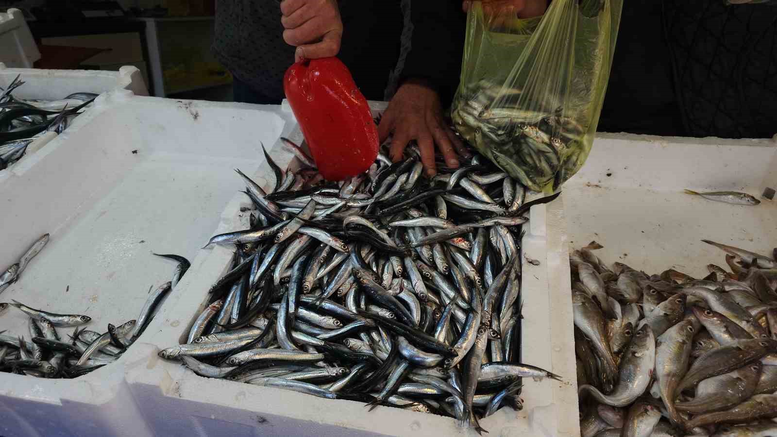 Zonguldak’ta limandan 500 ton hamsi çıktı