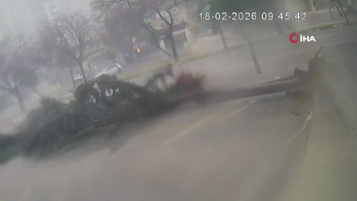 Fırtına dev ağaçları kökünden söktü:  O anlar kamerada