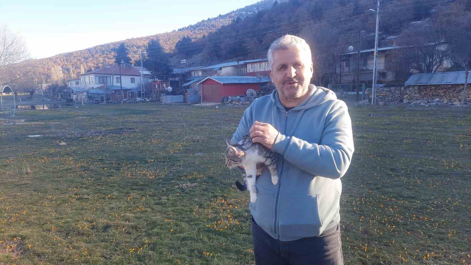 Konya’da aç kalan kediler için 30 kilometre yol gitti