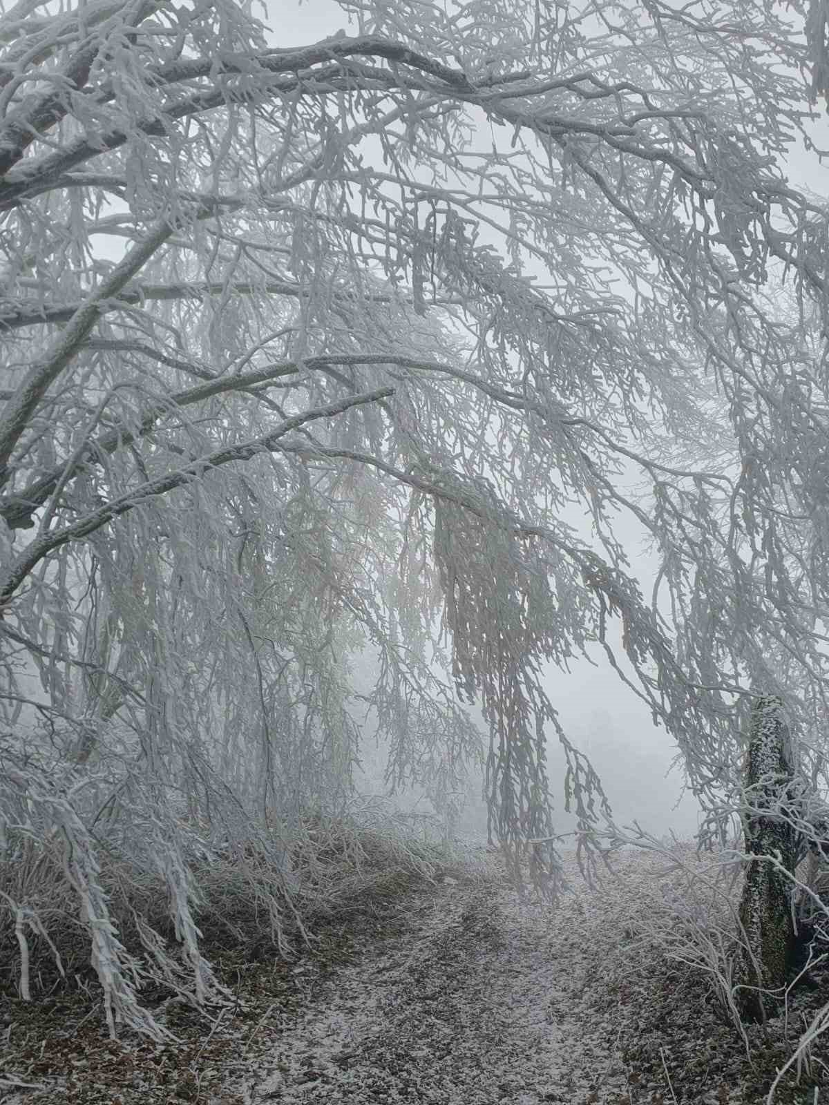 Kırklareli’nin yüksek kesimleri beyaza büründü