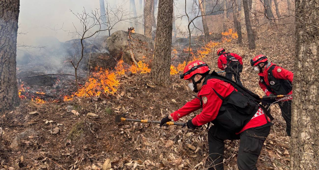 Güney Kore’de 3 gündür devam eden orman yangınında 190 hektarlık alan küle döndü