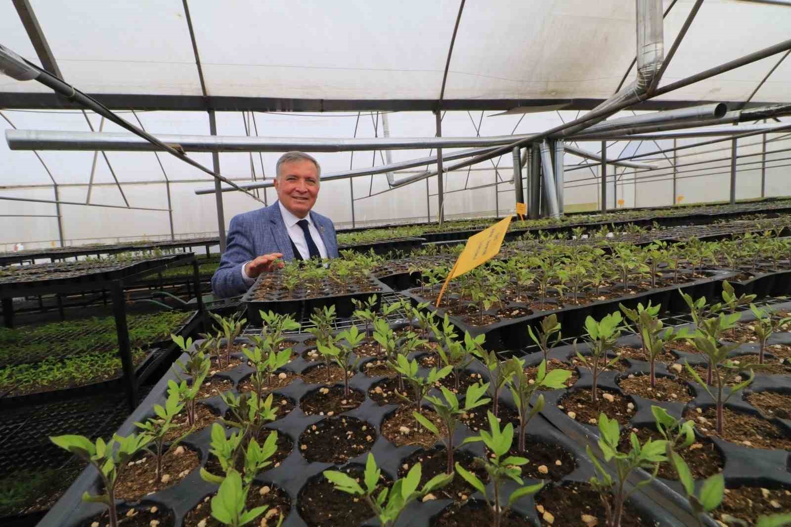 Honaz’da 8 Mart’a özel 8 bin çiçek kadınlara dağıtılacak