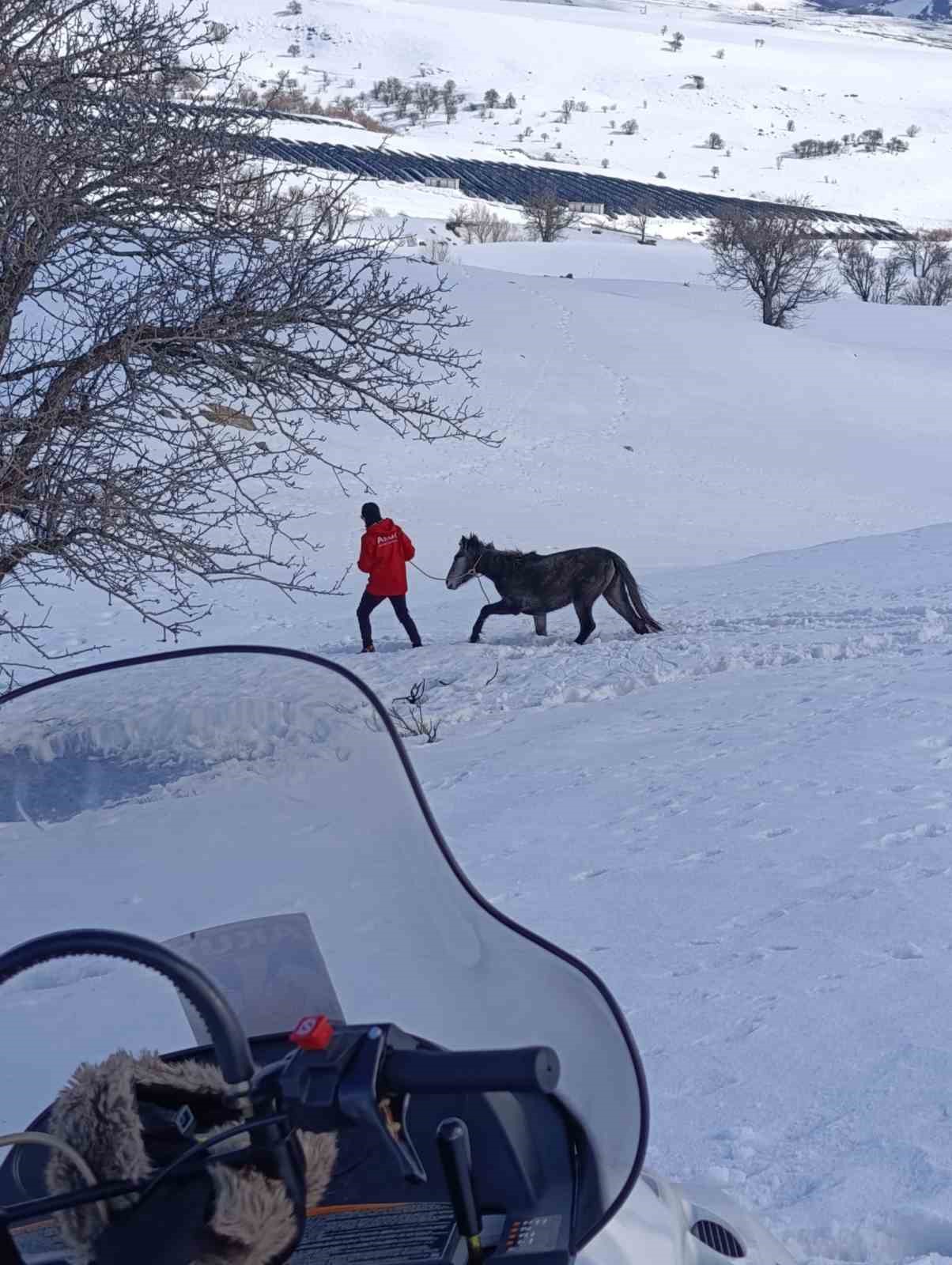 Kurtların saldırısına uğrayan ve dağda mahsur kalan at kurtarıldı