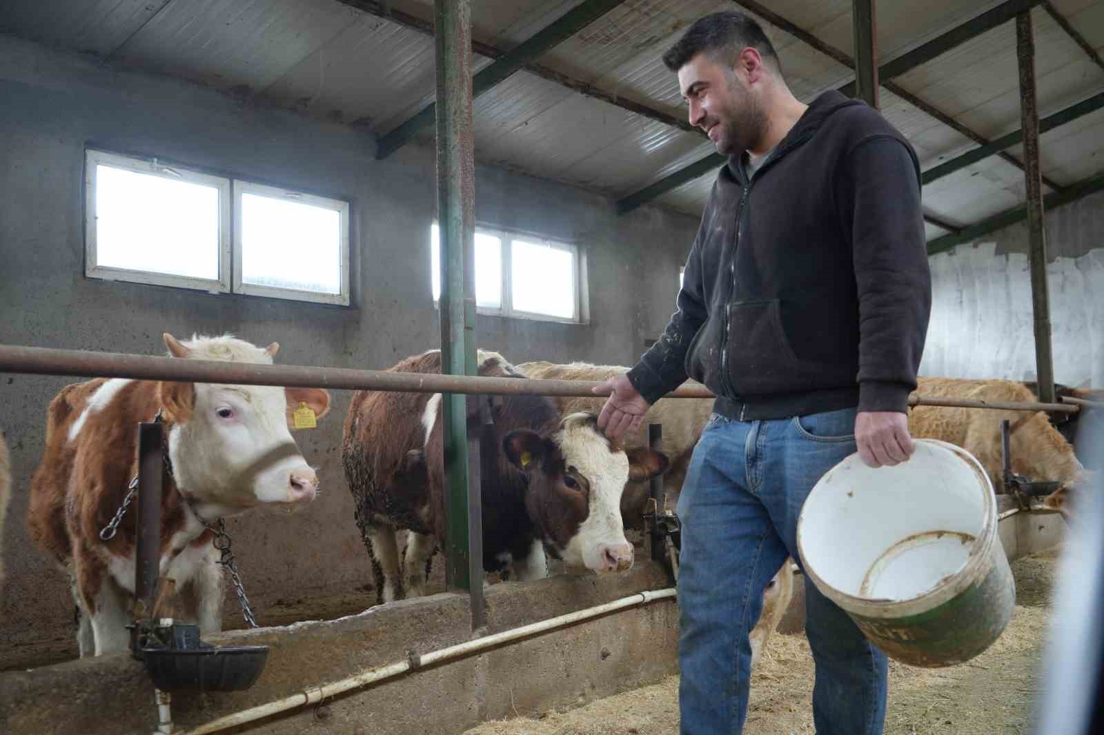 Yem desteği Bayburtlu çiftçinin yüzünü güldürdü: 