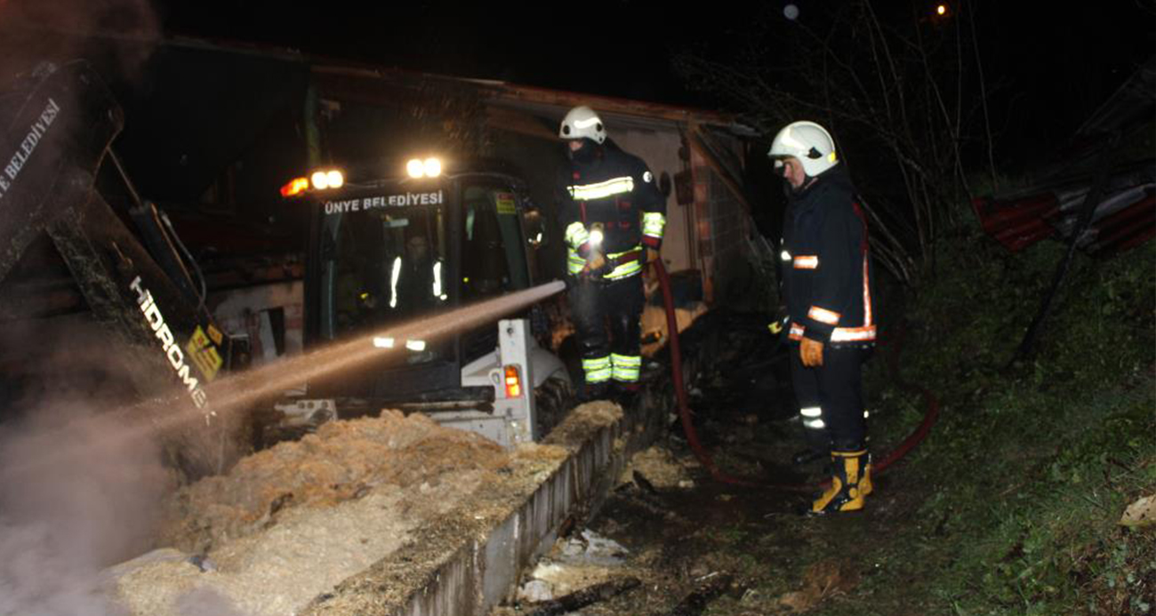 Ordu’da ahır yangını: 27 büyükbaş hayvan telef oldu