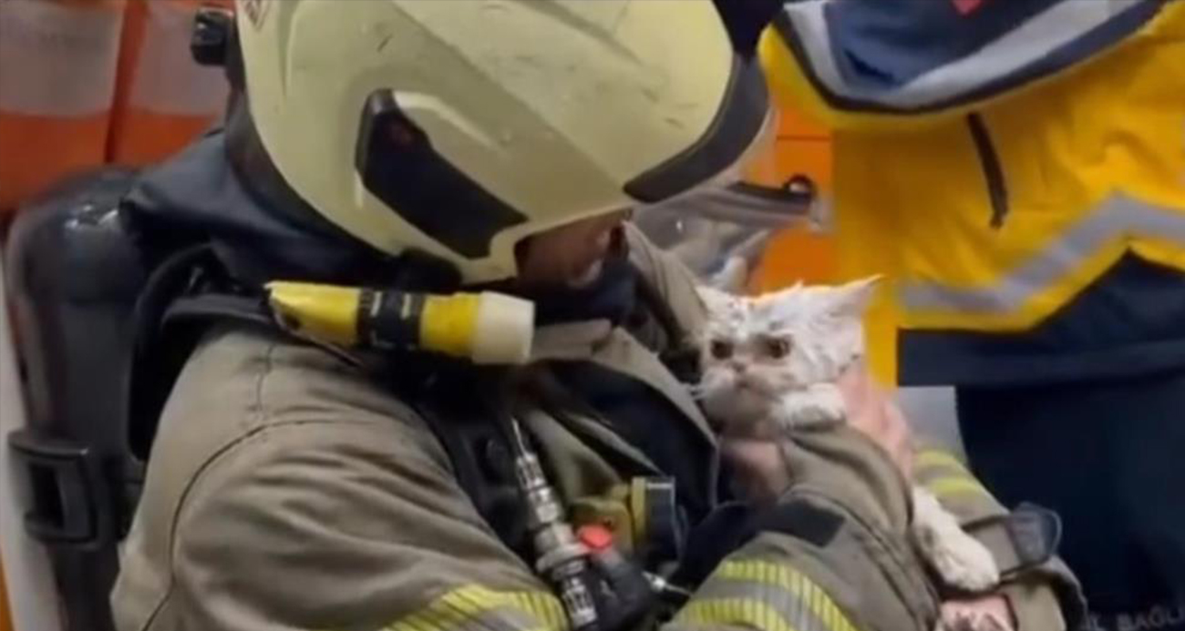 Fatih’te metruk binada çıkan yangın yanındaki ahşap binaya sıçradı: Bir kedi kurtarıldı