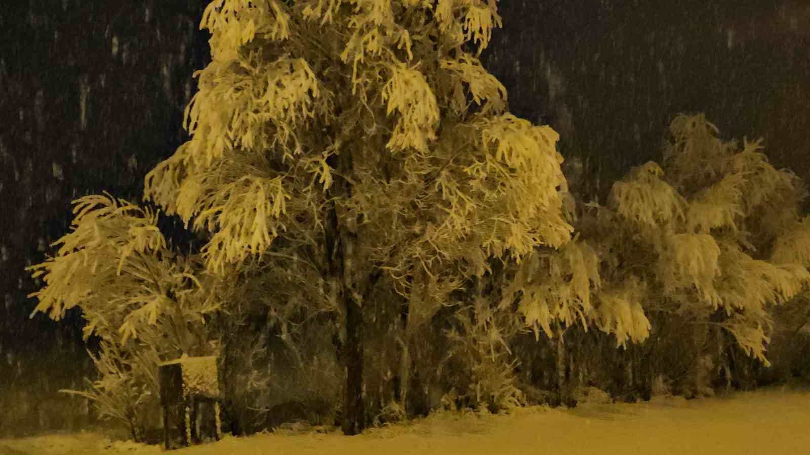 Adilcevaz’da kar yağışı beraberinde güzel görüntüler getirdi