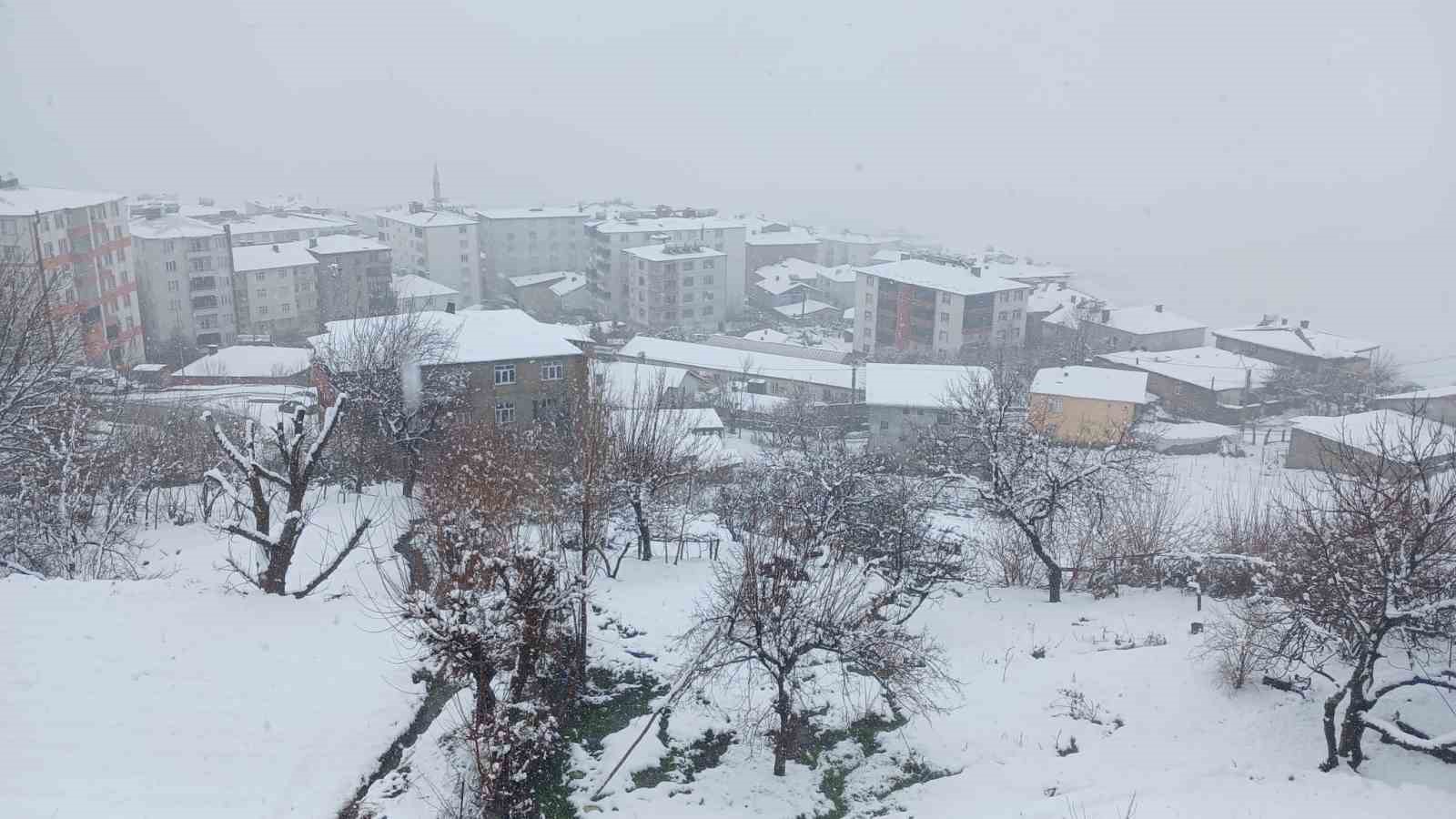 Kulp’ta kar yağışı etkili oldu, ilçe beyaza büründü