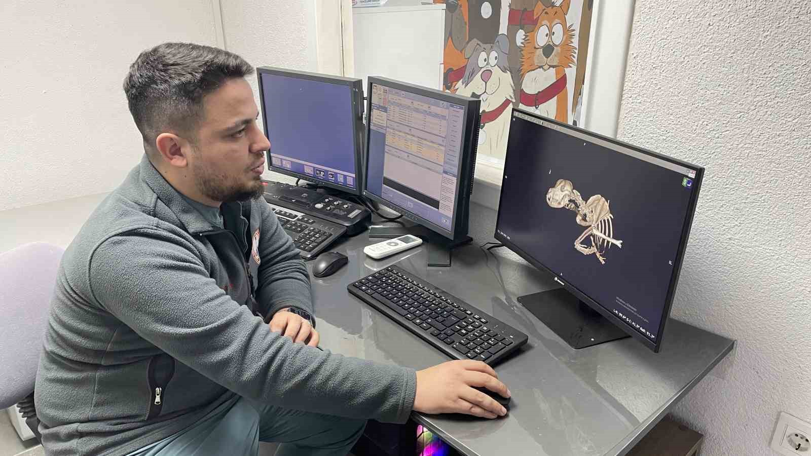 Kulağından beynine tümör yayılan sokak köpeği zorlu operasyonla hayata tutundu