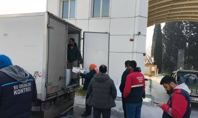 Aydın’da nakil belgesiz 290 kasa balığa el konuldu