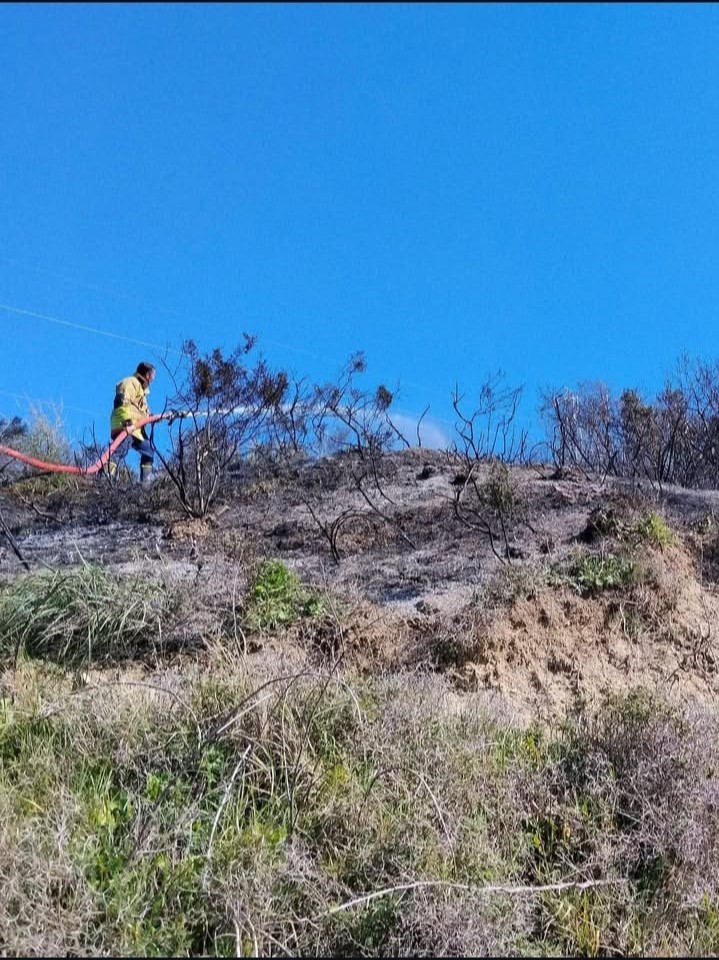 Defne’de çıkan bahçe yangınından alevler yükseldi