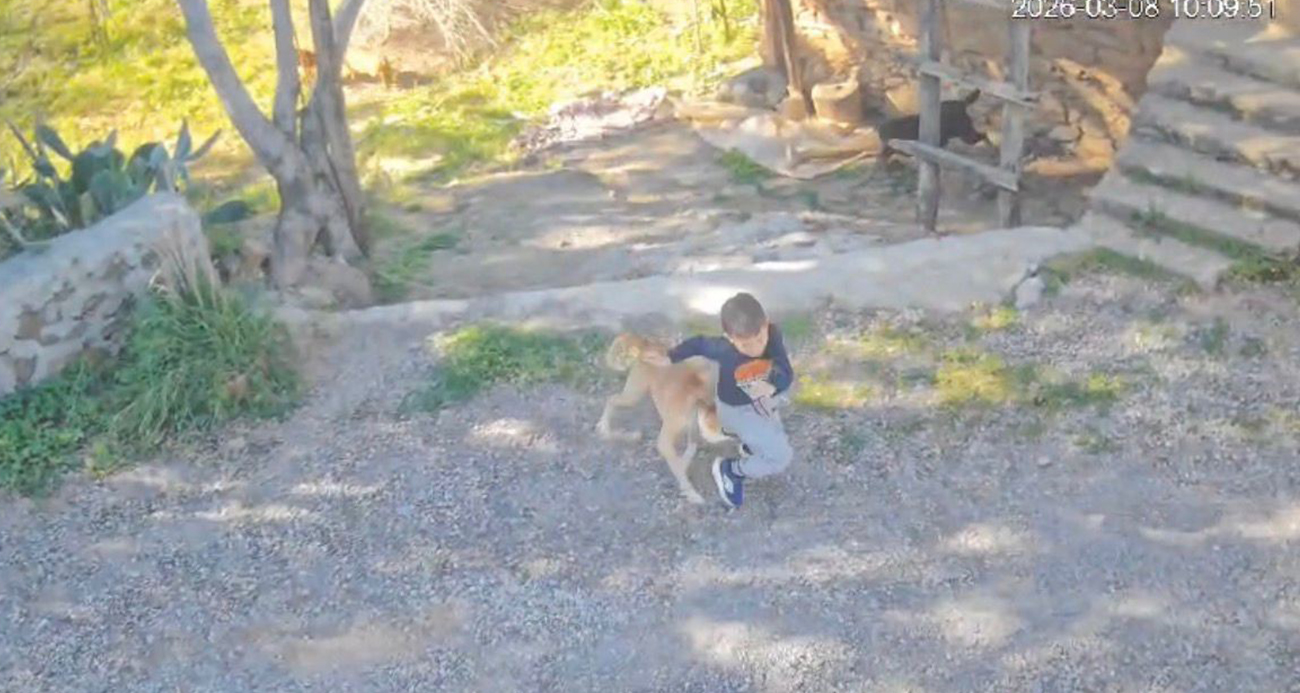 Antalya’da sahipsiz köpeğin saldırısına uğrayan 7 yaşındaki çocuk hastanelik oldu