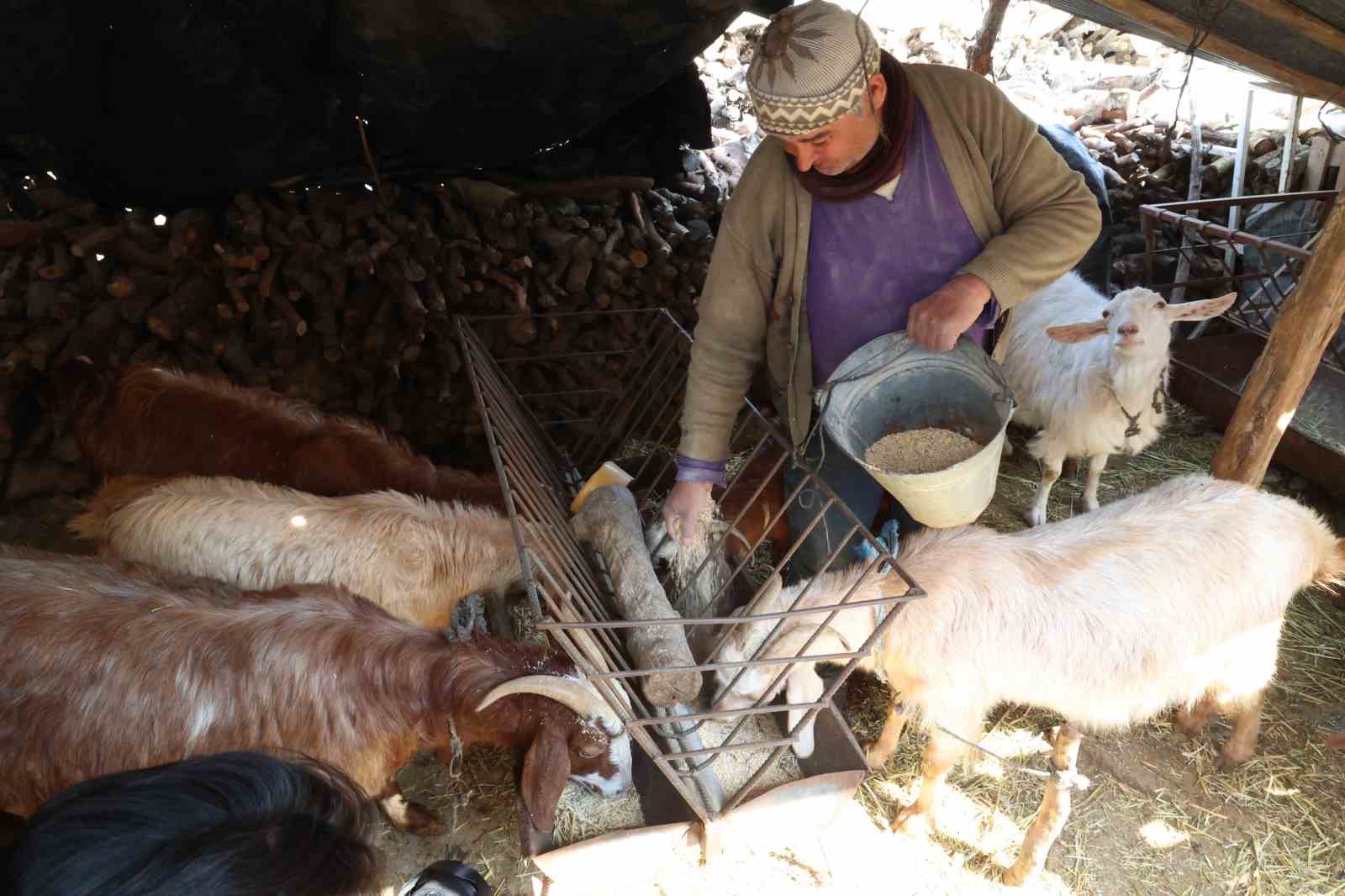 Korkuteli’nde yem ezme ve kırma makinesi üreticiye kolaylık sağlıyor
