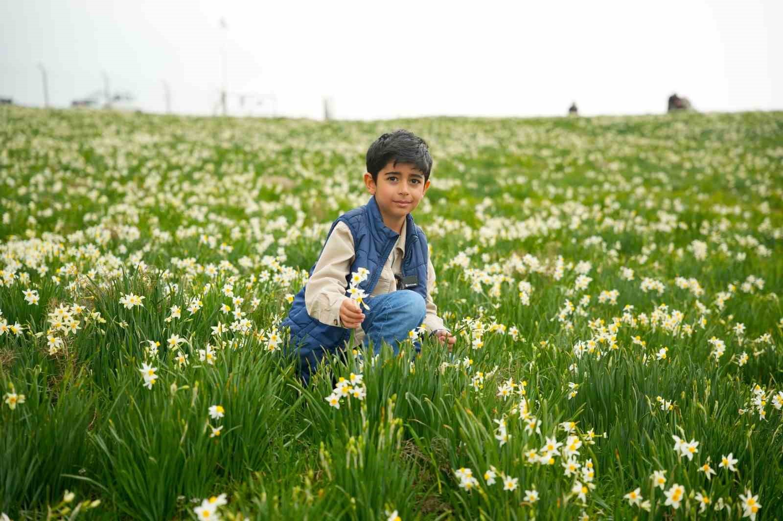 Baharın habercisi nergisler ziyaretçilerin ilgi odağı oluyor